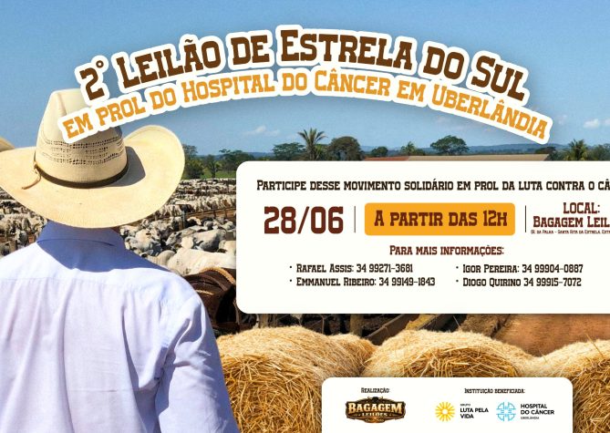 leilão estrela do sul